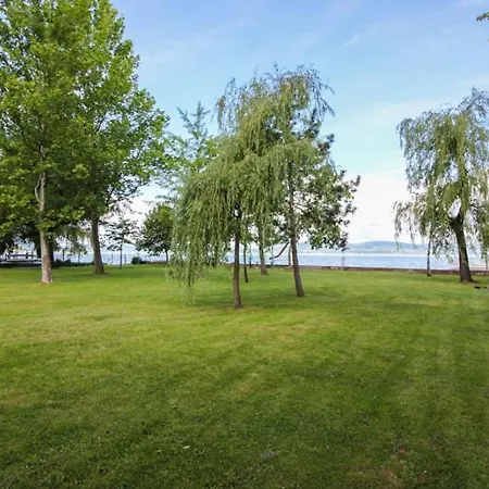 Panorama *