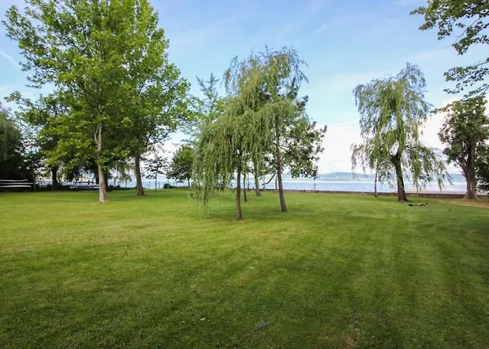 Panorama *